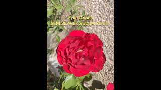 Eyüp Özmen SENİ SEVMEK SUÇUM BENİM
