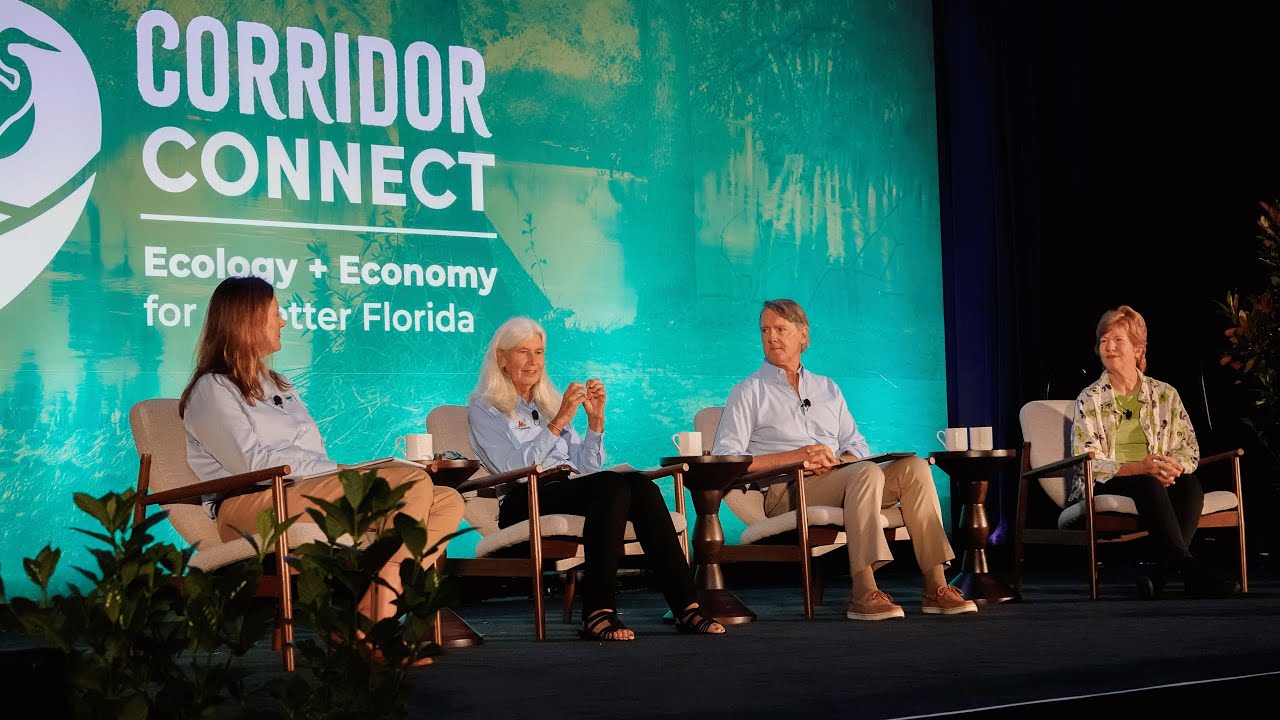 Charting the Path Forward - YouTube