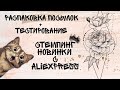 Распаковка пластин для стемпинга с AliExpress #распаковка #стемпинг