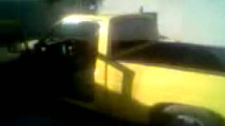 Algo Bien Y Miando El Bato