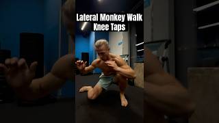 Lateral Monkey Walk with Knee Taps. #hipmobility #agility #primalmovement Sebastian Pytel