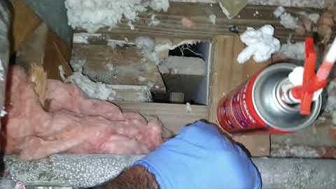 How To Seal And Pest Proof An Attic Against Roaches With Exclusion Foam.
