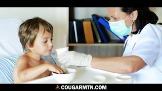 Cougar Mountain's Denali Accounting Software