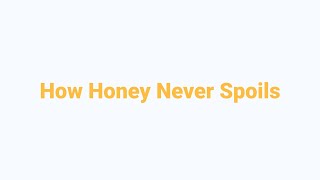 The First Novel Ever Written | How Honey Never Spoils? | What Causes the Northern Lights? #funfacts