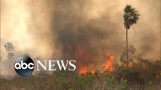 Brazil rejects G-7 money to fight Amazon wildfires l ABC News