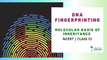 DNA Fingerprinting | Molecular Basis of Inheritance | One Stop Biology | NCERT | Class 12 | Chap 6