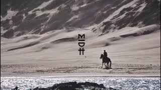 Black Coffee Feat. Msaki - Wish You Were Here (Guy Mantzur Remix)