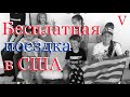 Наши новости. День благодарения. Черная пятница.  Как бесплатно съездить в США.