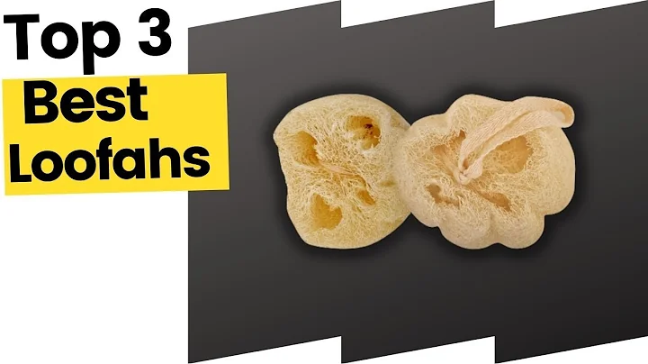 Best Loofahs On Amazon in 2023