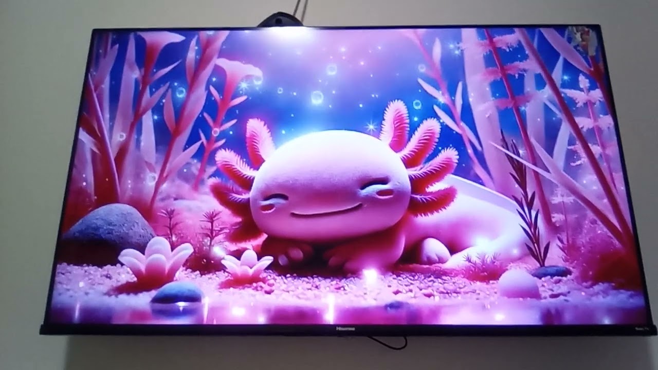 Axolotl calm music✨✨✨✨