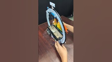 Water cycle project#watercycle #sciencerover #scienceproject #science #stemeducation #stemfair #stem