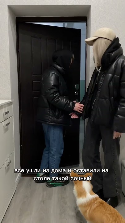 Булка за решеткой ч.2 #корги #милюков #юмор #животные - YouTube