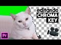 Tudo sobre COMO FAZER CHROMA KEY para Iniciantes