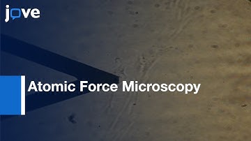 Mechanical Properties Of Living Cells Using Atomic Force Microscopy l Protocol Preview