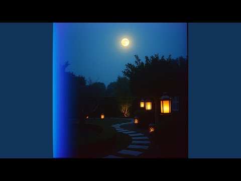 The Silence Of The Shadow 