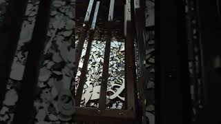 Ruida Controller, Laser Machine, Problem, The Machine But Start As Usual, Any Suggestions?