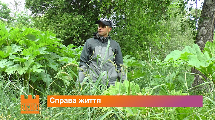 Іванофранківець Андрій Медвідь 10 років самотужки винищує борщівник