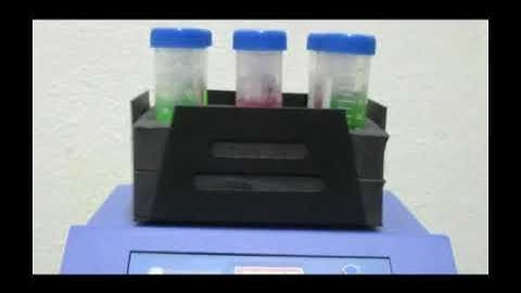 shaker lab  vibrator vortex orbital 2