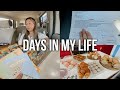 days in my life: how school is really going, birthday shopping + going out with friends