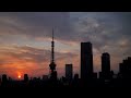 「東京マラソン前日」特別ライトアップの東京タワーTokyo Tower specially lit up the day before the Tokyo Marathon 2025.3.1