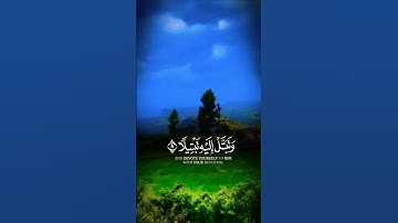 تلاوة خاشعة بصوت يريح الأعصاب #elmulquranعلم #تلاوة #trend #المصحف #قران_كريم #اكسبلور #لايك #aslam