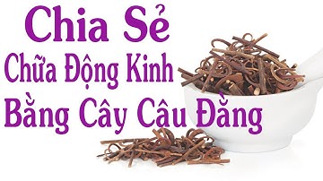 Bệnh Động Kinh - Dùng cây câu đằng trong 1 tháng - Chia sẻ ngừoi bệnh