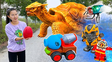 Changcady và con rùa đẻ trứng, bắt được con ruồi, khủng long lắp ghép - Part 319