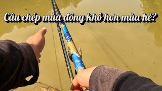 Download Lagu CÂU CÁ CHÉP MÙA ĐÔNG NGÀY NẮNG - TUOCGIANG MP3