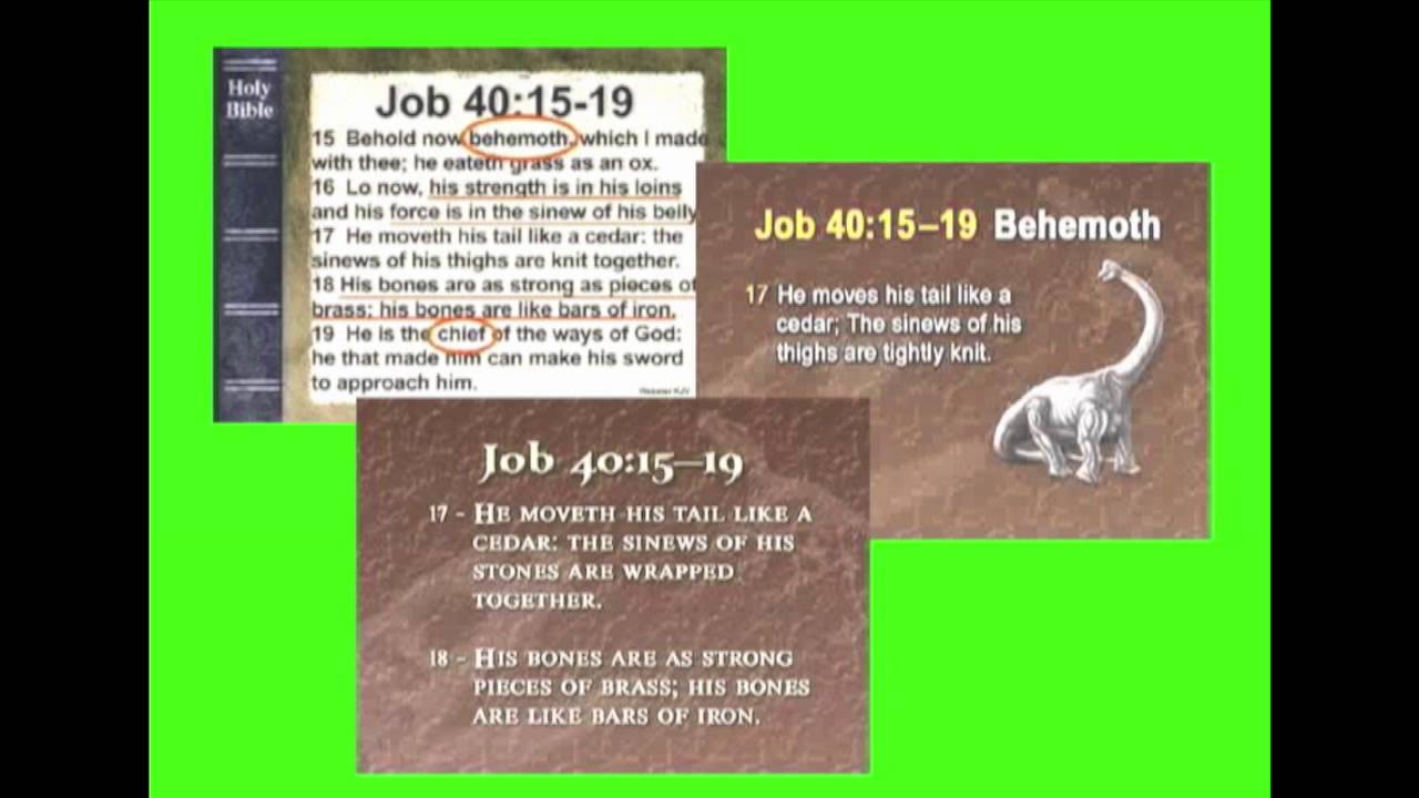 Why Answers In Genesis is wrong, Part two.