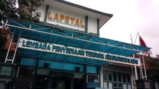 Lapetal Malang