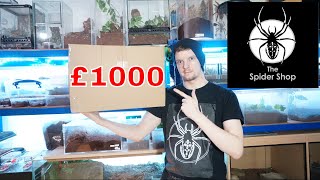 TheSpiderShop £1k Mystery Box - They Sent Me What?!