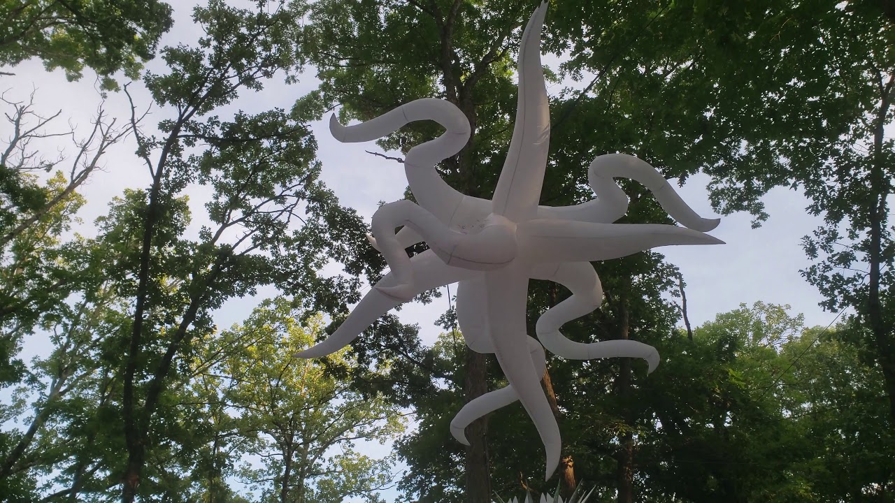 Backwoods at Mulberry Mountain - Chilling at Mystic Grizzly