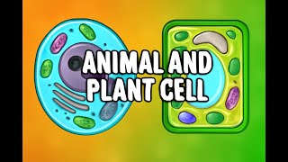 Plant Cell vs Animal Cell 🔬 | Key Differences Explained Easily