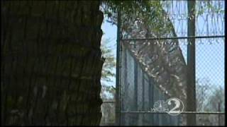 Report Finds 40 Security Flaws At Osceola Jail