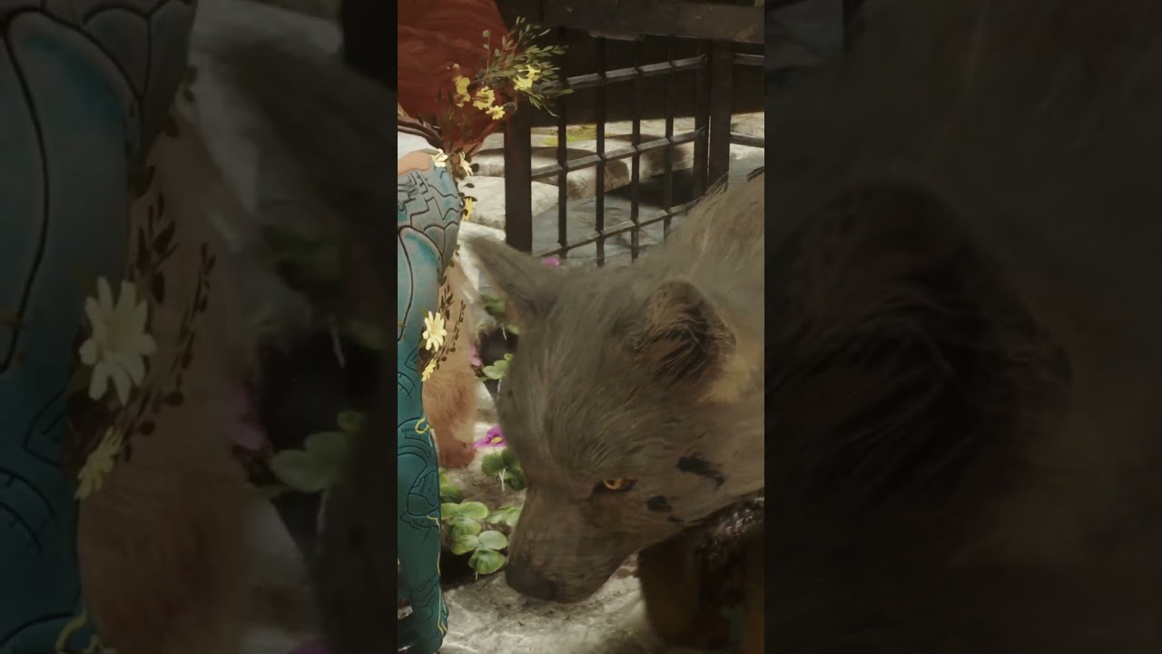 Freed… And Grounded 