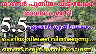 “പകുതി വില പോലും ഇല്ല” 5.5 ഏക്കർ 15 ലക്ഷം* നിങ്ങൾക്ക് സ്വന്തമാക്കാം വൻ ലാഭത്തിൽ ഉടൻ വിളിക്കുക🥰🥰