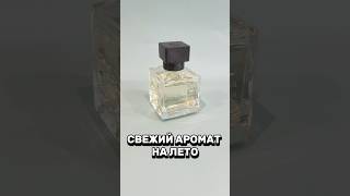 СВЕЖИЙ АРОМАТ НА ЛЕТО ✨ ЦИТРУСОВО - МУСКУСНЫЙ