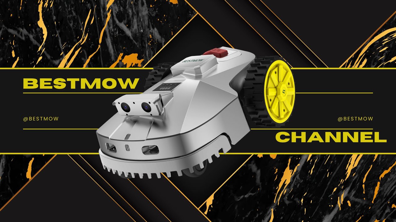 A Relaxing Afternoon with BESTMOW: Sit Back and Enjoy the View