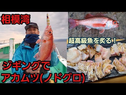 アカムツ】相模湾でアカムツ(ノドグロ)をスロージギングで釣る！ 残り5
