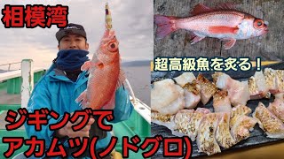 アカムツ】相模湾でアカムツ(ノドグロ)をスロージギングで釣る！ 残り5