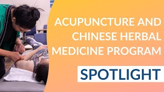Doctor Of Acupuncture And Chinese Herbal Medicine Program Spotlight