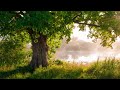 12 Hours of Relaxing Music - Piano Music for Stress Relief, Sleep Music, Meditation Music (Erin)