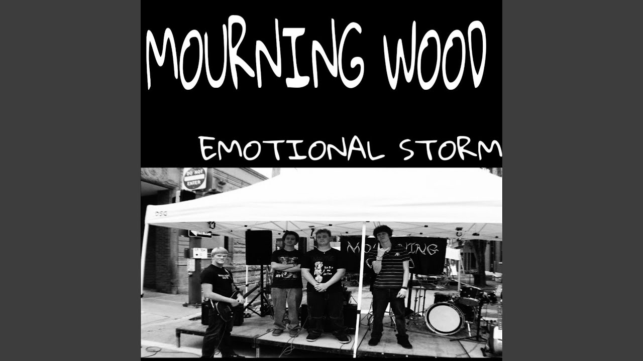 Emotional Storm