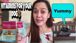 lc vitamins for dogs