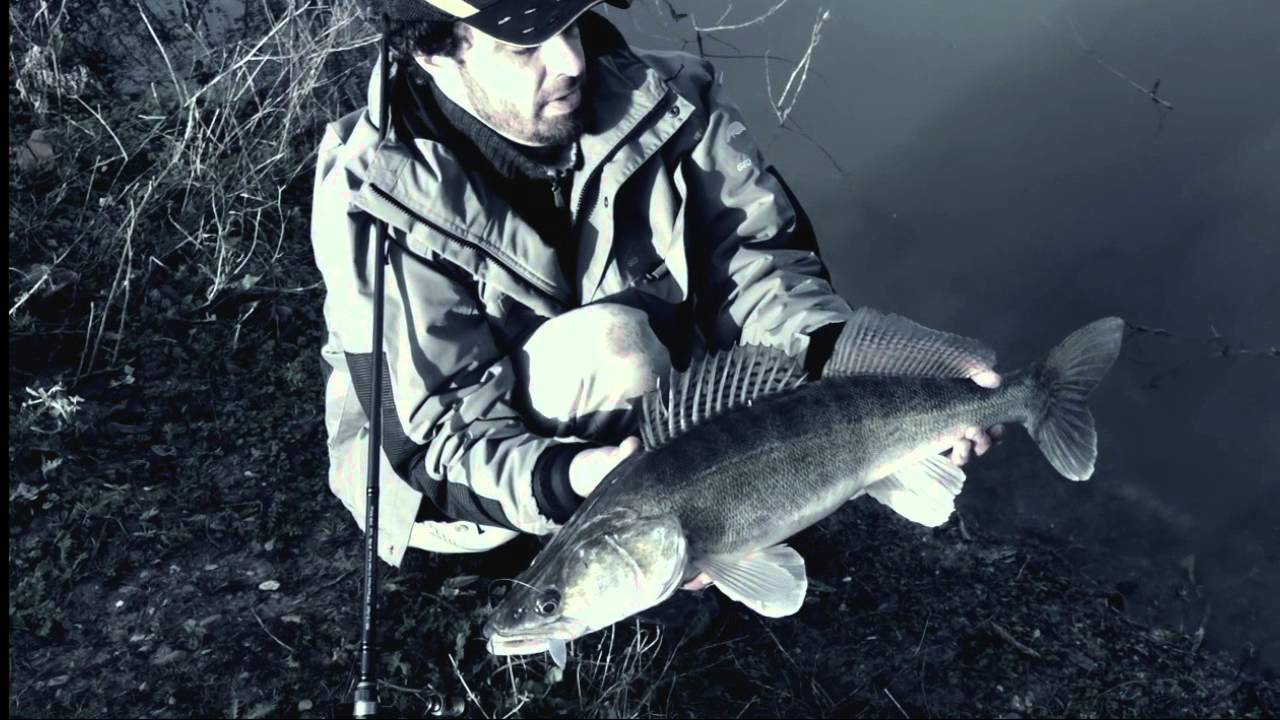 Sandres/zanders : SAVAGE GEAR soft baits testing