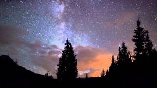 Lotus Dragon Sighting