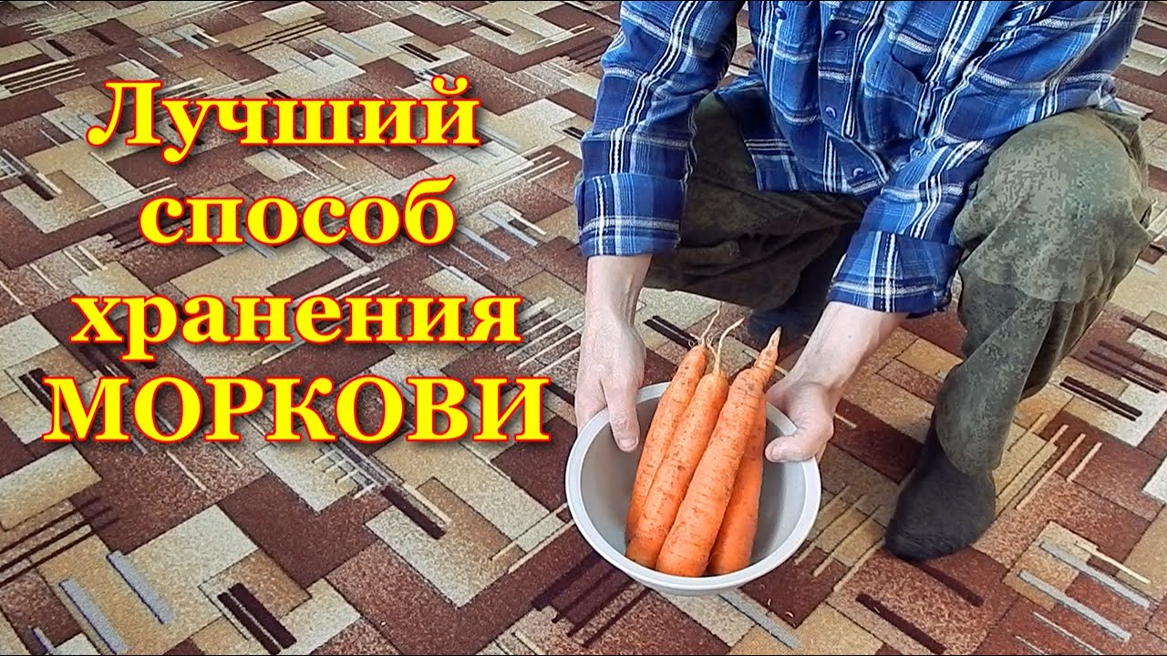 Дрожжи как удобрение для растений: как приготовить?