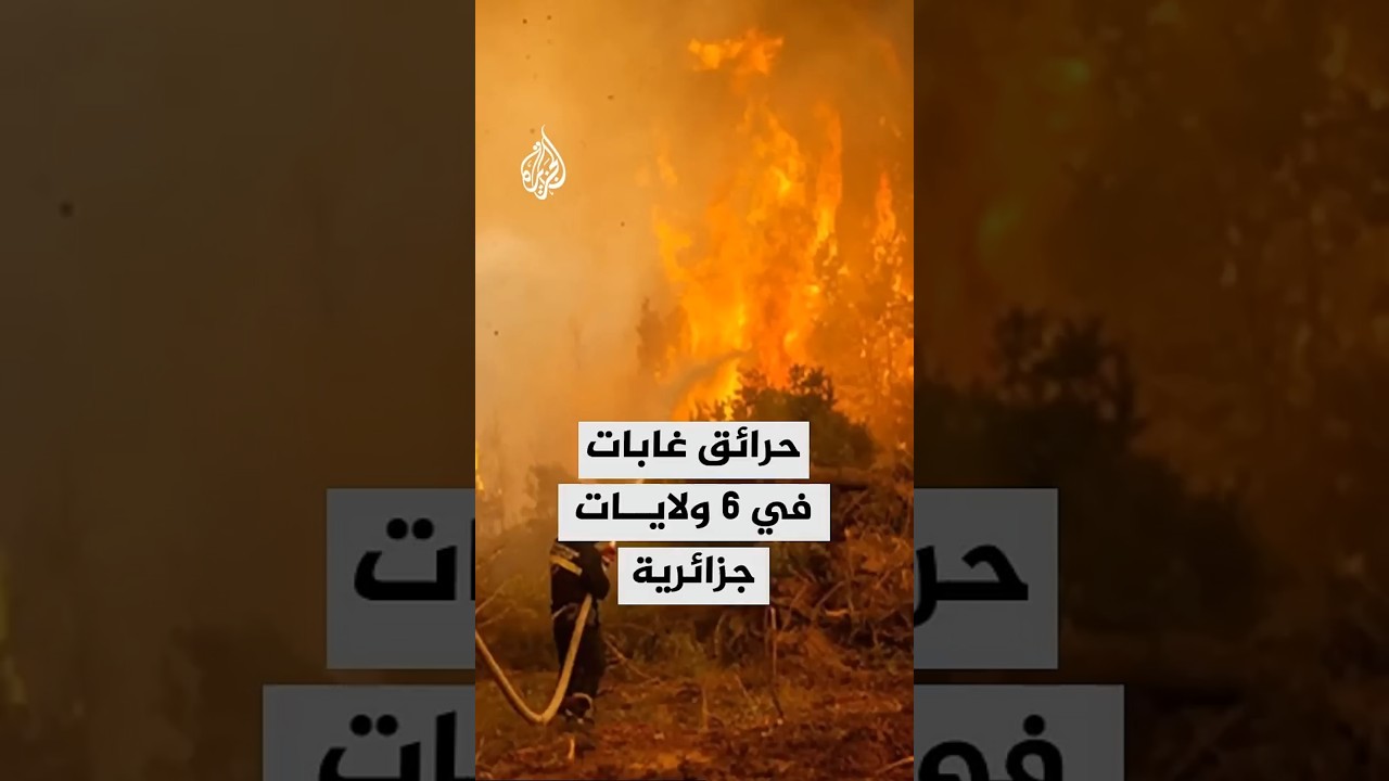 حرائق غابات في 6 ولايات جزائرية