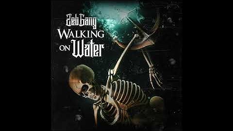 Zebgang  x Walking on Water (@Qwst1 and Aioni - Topic )