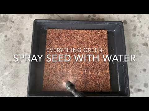 How to grow microgreens on coco mat